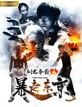 《驯龙拳霸之暴走东京》影评：热血格斗与东京街头的激情碰撞！