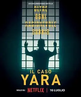 《雅拉命案 铁证背后》：真相迷雾下的正义之光，一部引人深思的犯罪悬疑片