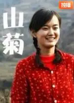 《山菊》：雪域高原的生命之歌，一朵格桑花的绽放与坚守