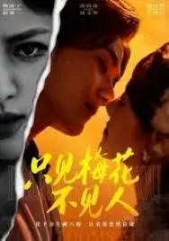 《只见梅花不见人》：历史长河中的一声叹息，关于遗忘与铭记的深刻叩问