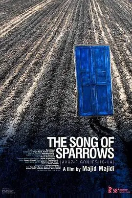 《麻雀之歌》：一场关于成长、羁绊与自我救赎的动人史诗，触动你心底最柔软的情感