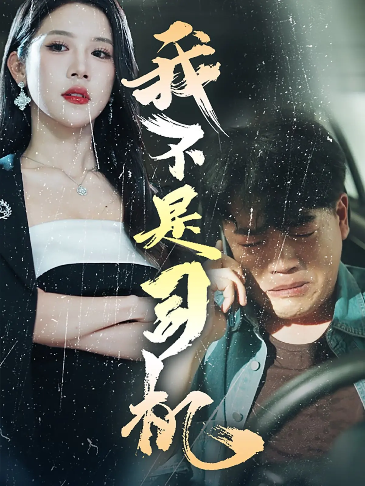 《我不是司机》：国产喜剧的泥石流？还是另辟蹊径的黑马？看完《闪亮的日子 第三季》再来看，感觉更奇妙！